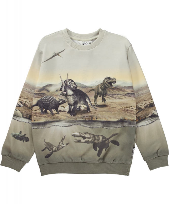 Miksi Dry Land Dinos