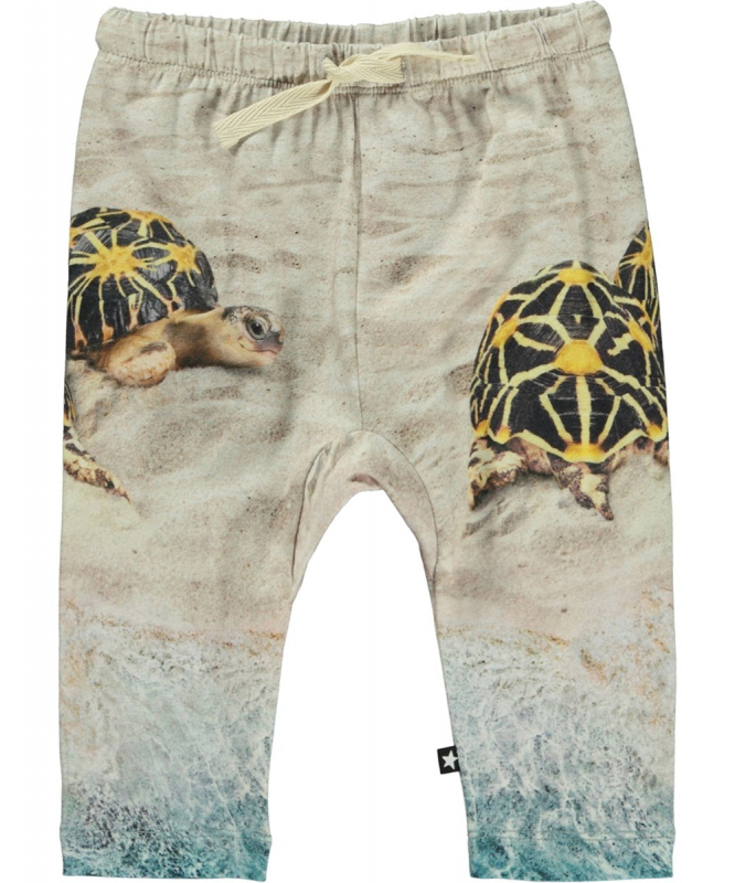  Sabb Beach Turtles