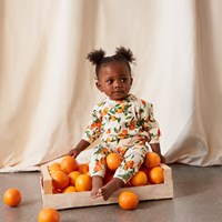  Disc Mini Mandarins