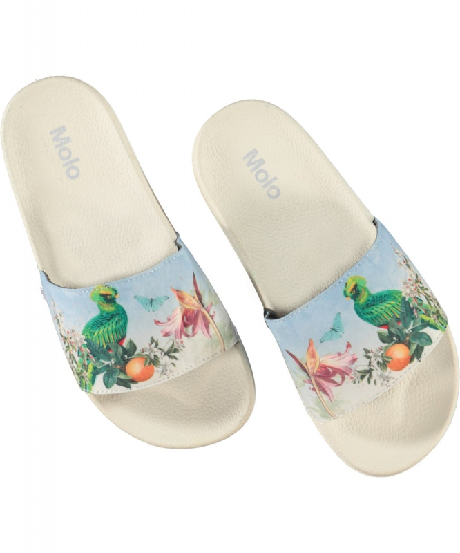 Пантолеты Molo Zhappy Paradise Bird