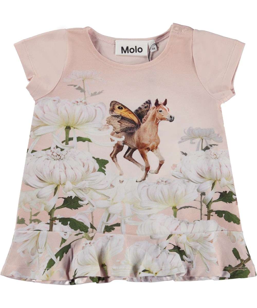  Coletta Flowery Foal