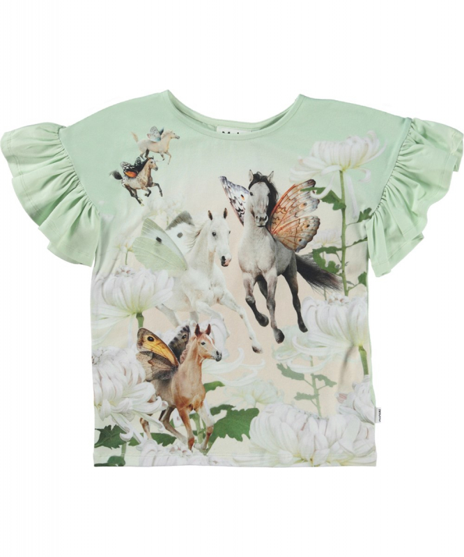  Rayah Flying Horses
